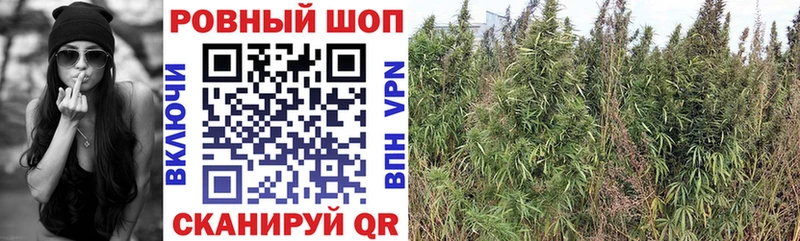 Где продают наркотики Краснообск Cocaine  Меф мяу мяу  МАРИХУАНА 