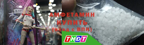 стаф Богданович