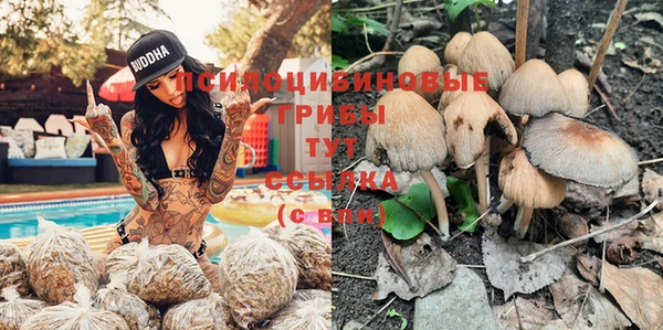 синтетический гашиш Няндома