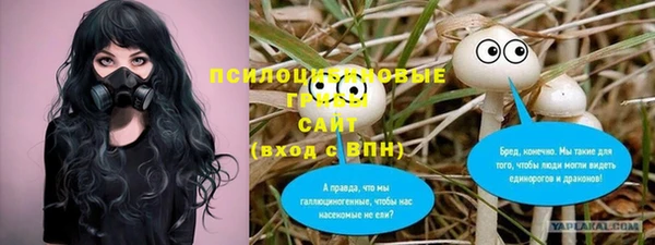 молекула духа Нязепетровск